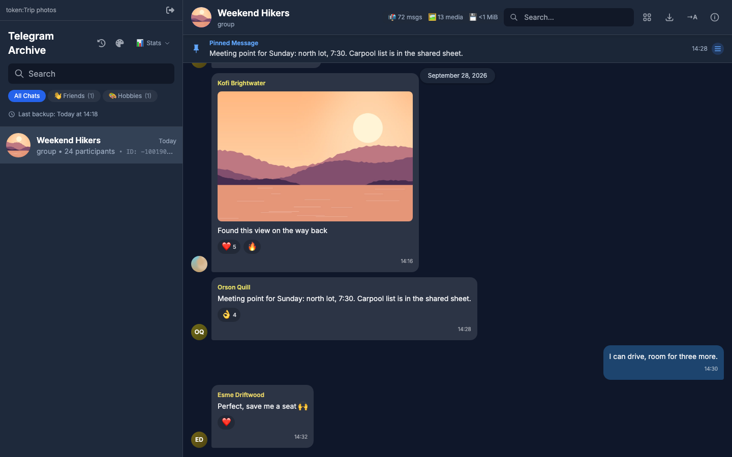 A viewer session opened through a share link, listing only the one shared chat