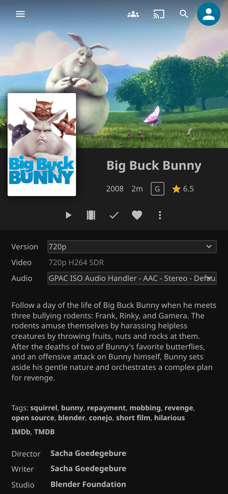 The film's page on a phone: the Version menu is set to 720p and the video line reads 720p H264